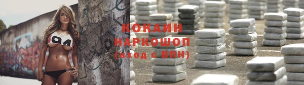 дживик Абинск